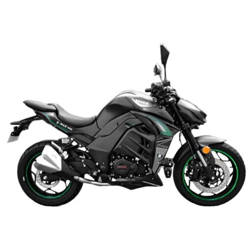 Z-MAX 250 EFI