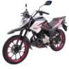 P-TERRA 200 - Imagen 2